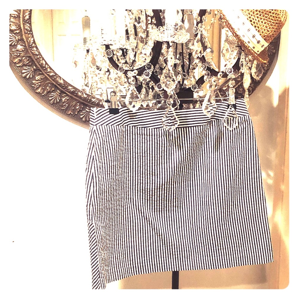 Blue Pin Stripe Skirt